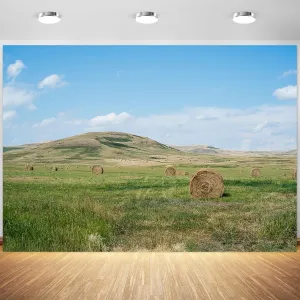 10x6.5ft Prairie Landscape Backdrop Grassland Blue Sky Mountain View Photography Background Camping Birthday Party Nature Scenery Decoration Supplies Photo Booth Props