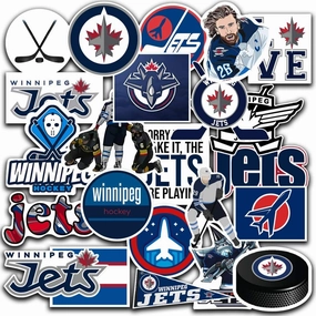 25 PCS American Hockey Stickers for Water Bottle, Laptop, Bicycle, Computer, Motorcycle, Travel Case, Car Decal Decoration Sticker 2-2.5 inches