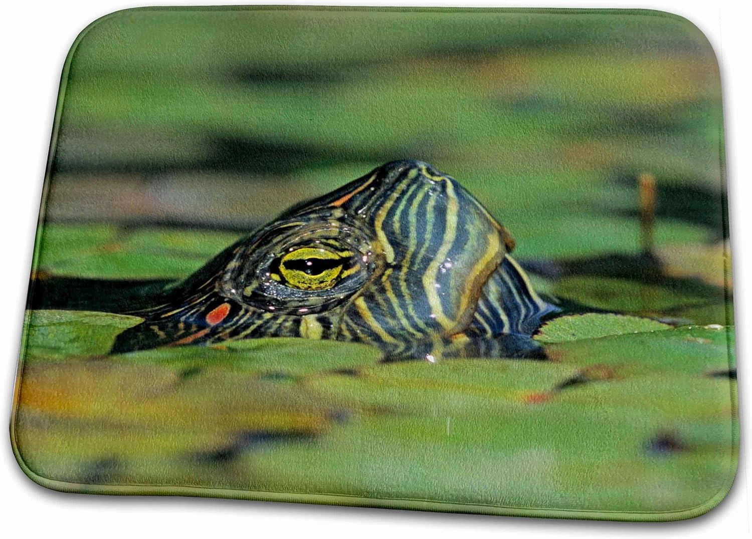 3dRose Bathroom Bath Rug Mat - Red-Eared Slider Turtle, Rio Grande Valley, Texas - US44 RNU0218 - Rolf Nussbaumer Turtles