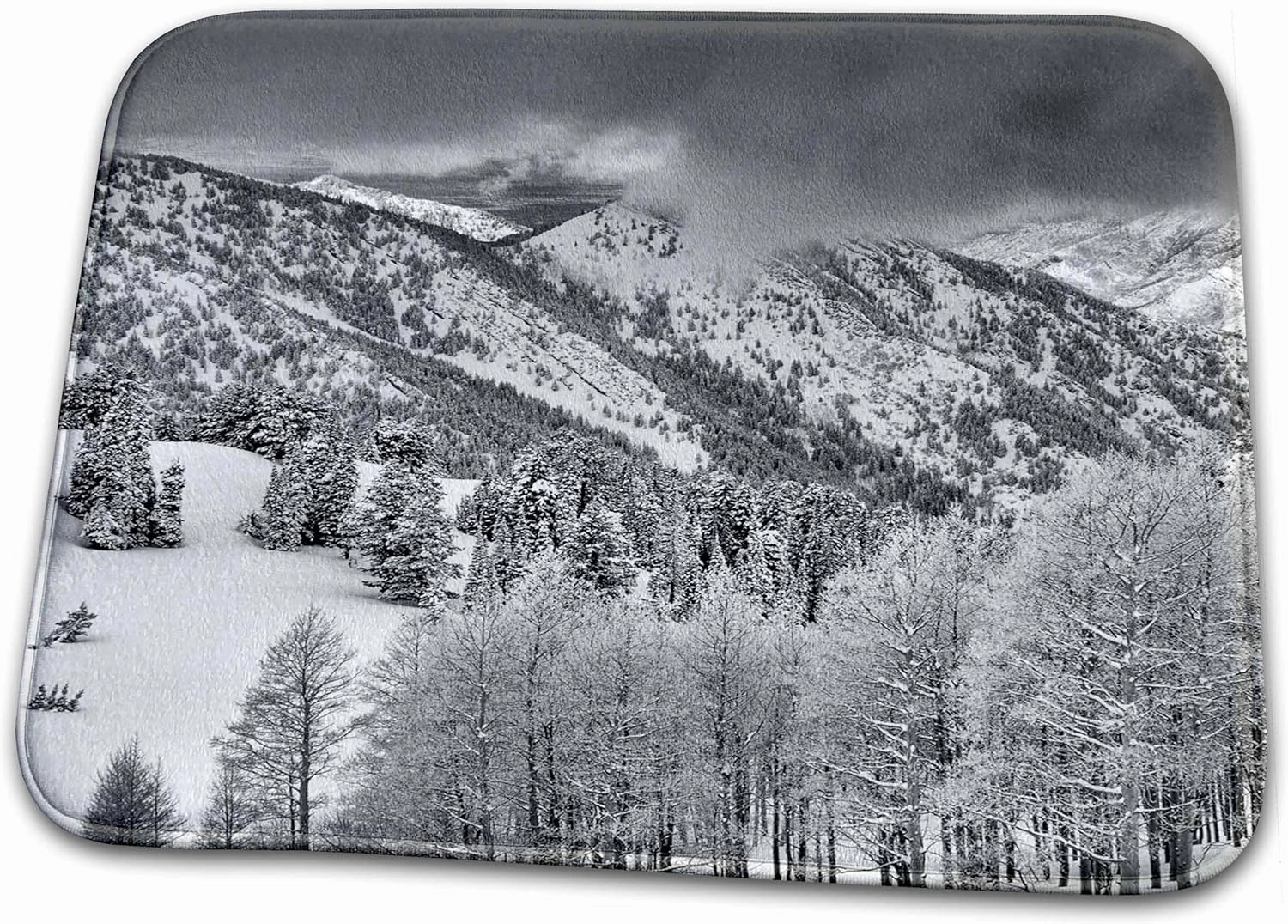 3dRose Ski Tracks Near Gobblers Knob, Uinta-Wasatch Cache... - Bathroom Bath Rug Mats (rug-209132-1)