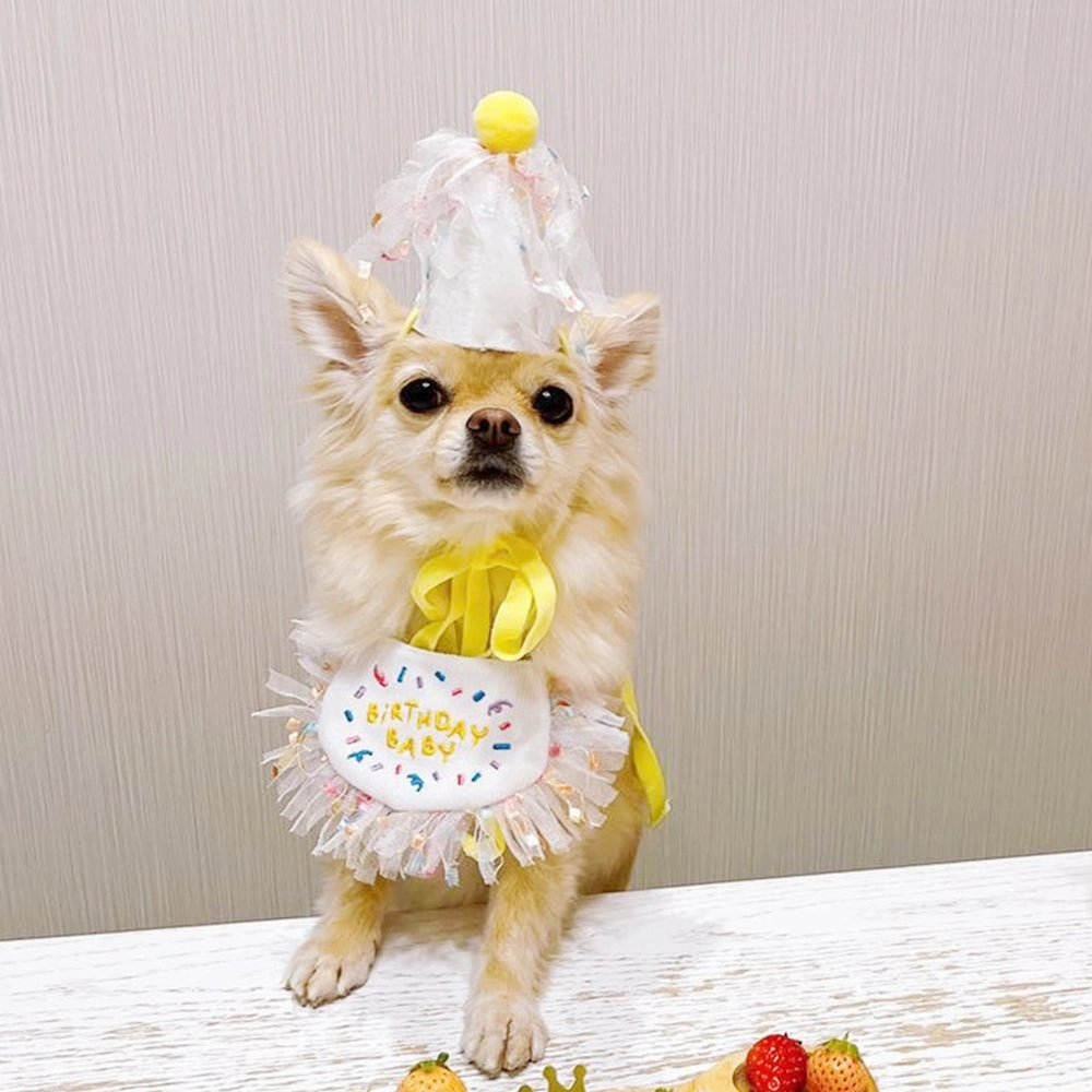 Adorable Pet Birthday Bib