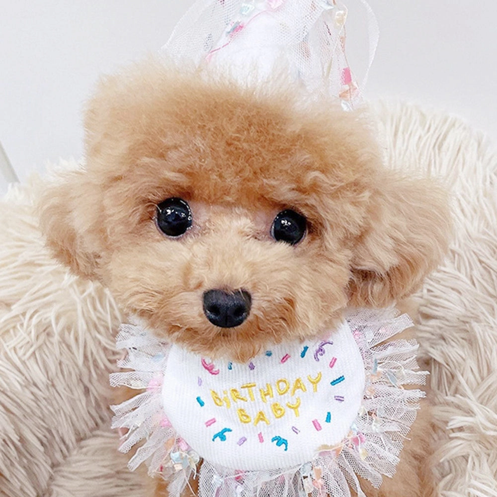 Adorable Pet Birthday Bib