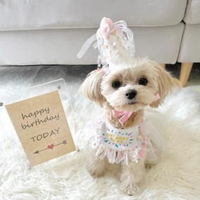 Adorable Pet Birthday Bib