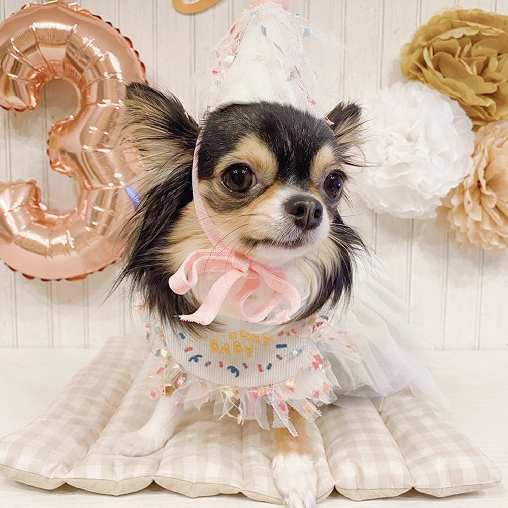 Adorable Pet Birthday Bib