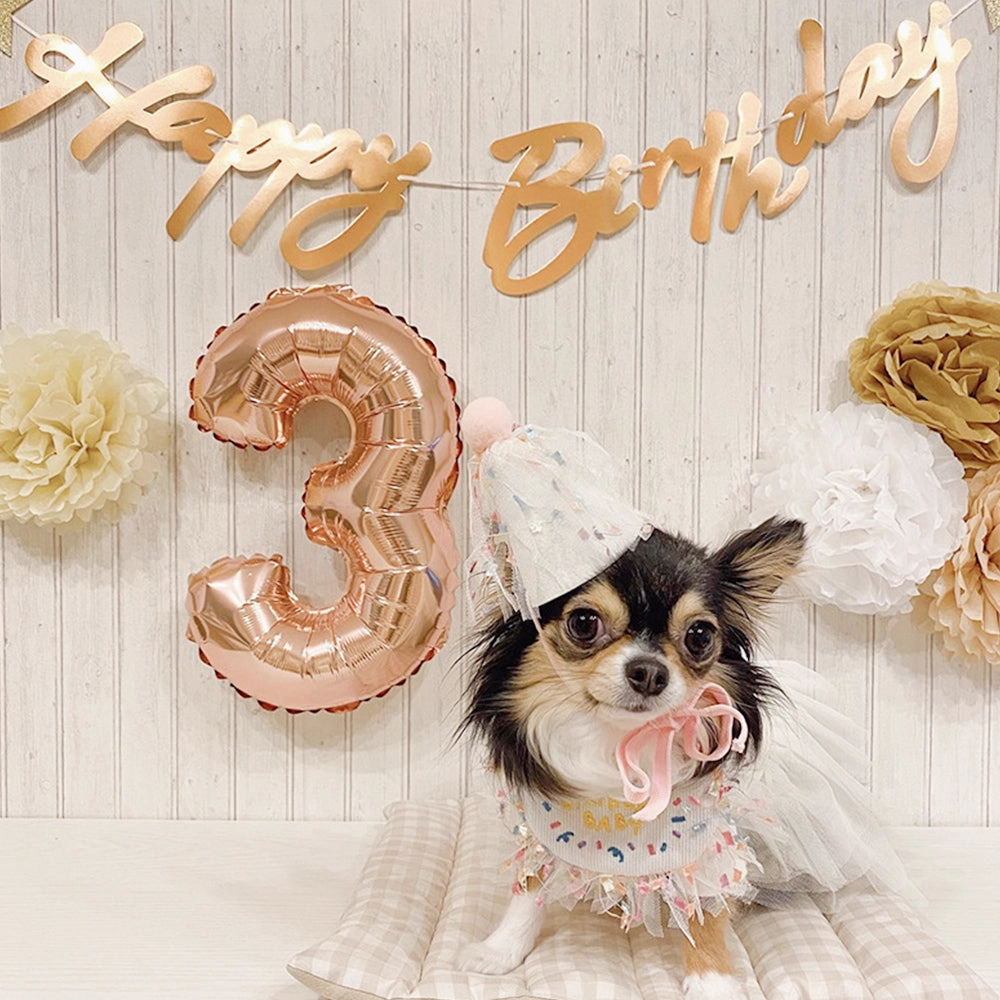 Adorable Pet Birthday Bib