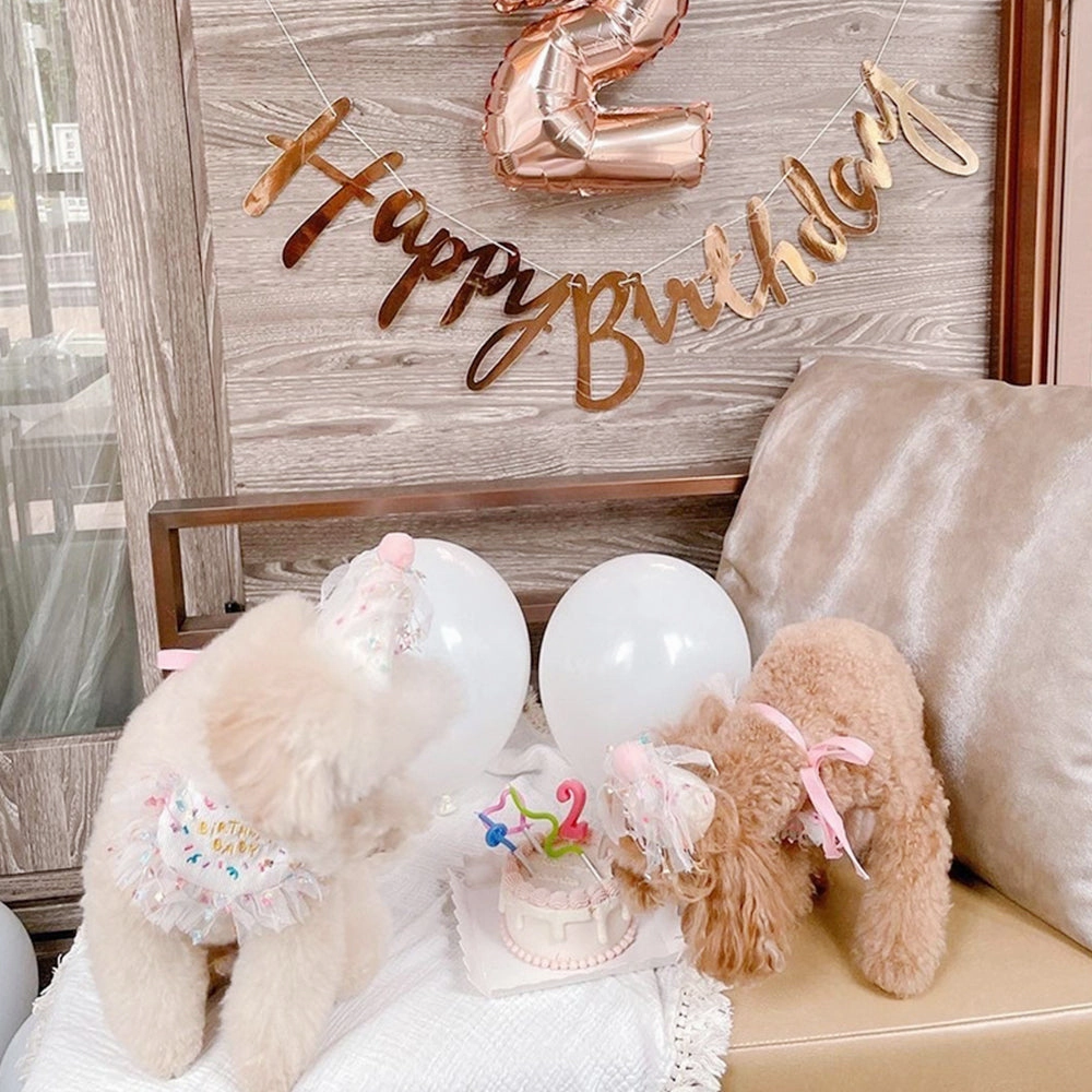 Adorable Pet Birthday Bib