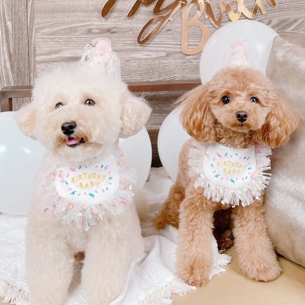 Adorable Pet Birthday Bib