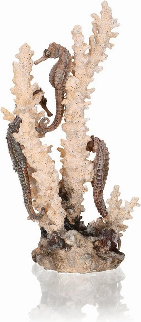 biOrb Medium Seahorse Sculpture, Ceramic Resin Centerpiece for Freshwater and Marine Aquariums, Beige/Tan