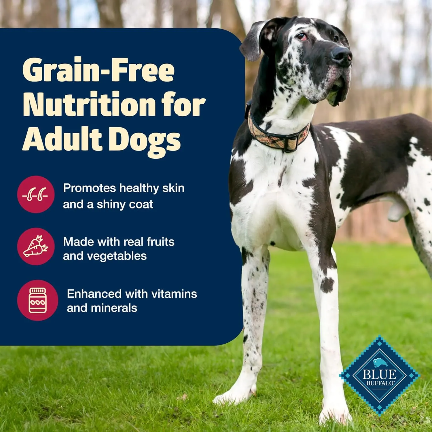 Blue Buffalo Freedom Grain-Free Dry Dog Food, Complete & Balanced Nutrition for Adult Dogs, Made in the USA With Natural Ingredients, Beef & Potatoes, 24-lb Bag