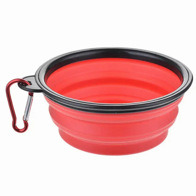 Colorful Pet Bowl