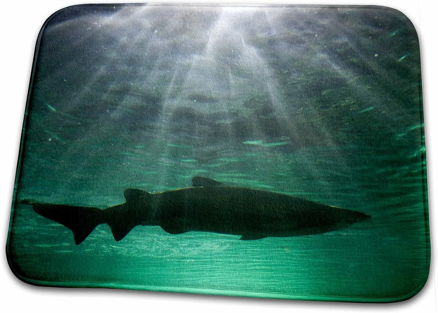 Dish Drying Mat - Australia, NSW, Sydney, Gray Nurse Shark tank -AU01 PSO0016 - Paul Souders Sharks