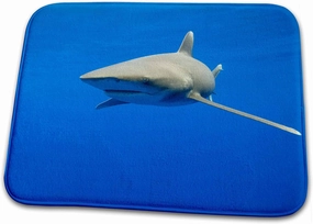 Dish Drying Mat - Hawaii, Big Island, Oceanic White Tip Shark - US12 PSO0039 - Paul Souders Sharks