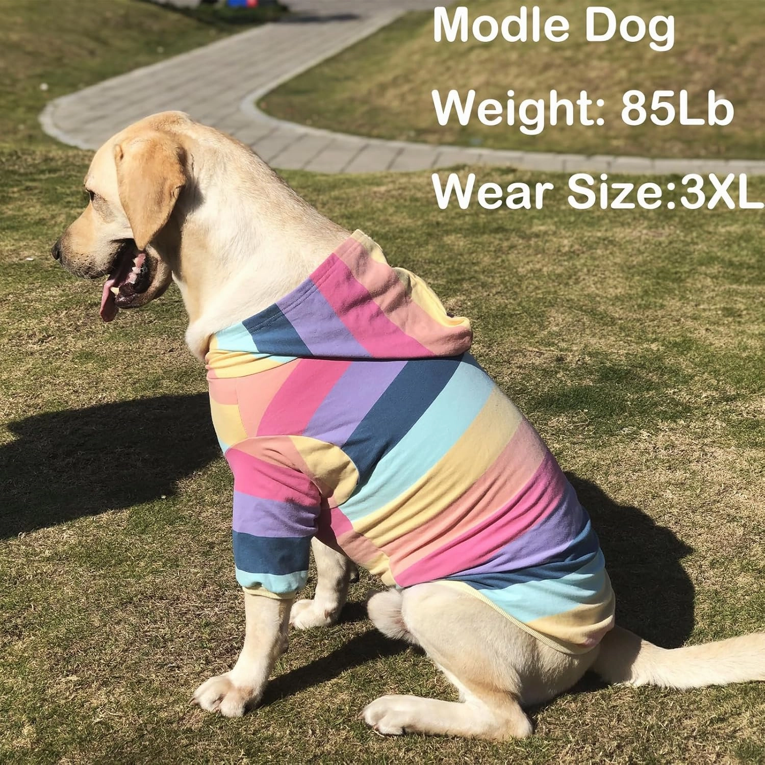 Dog Cotton Hoodie Pullover Sweatshirts Soft and Stretch Pets Clothes Rainbow Stripe Hooded for Large Dogs（Stripe XL）
