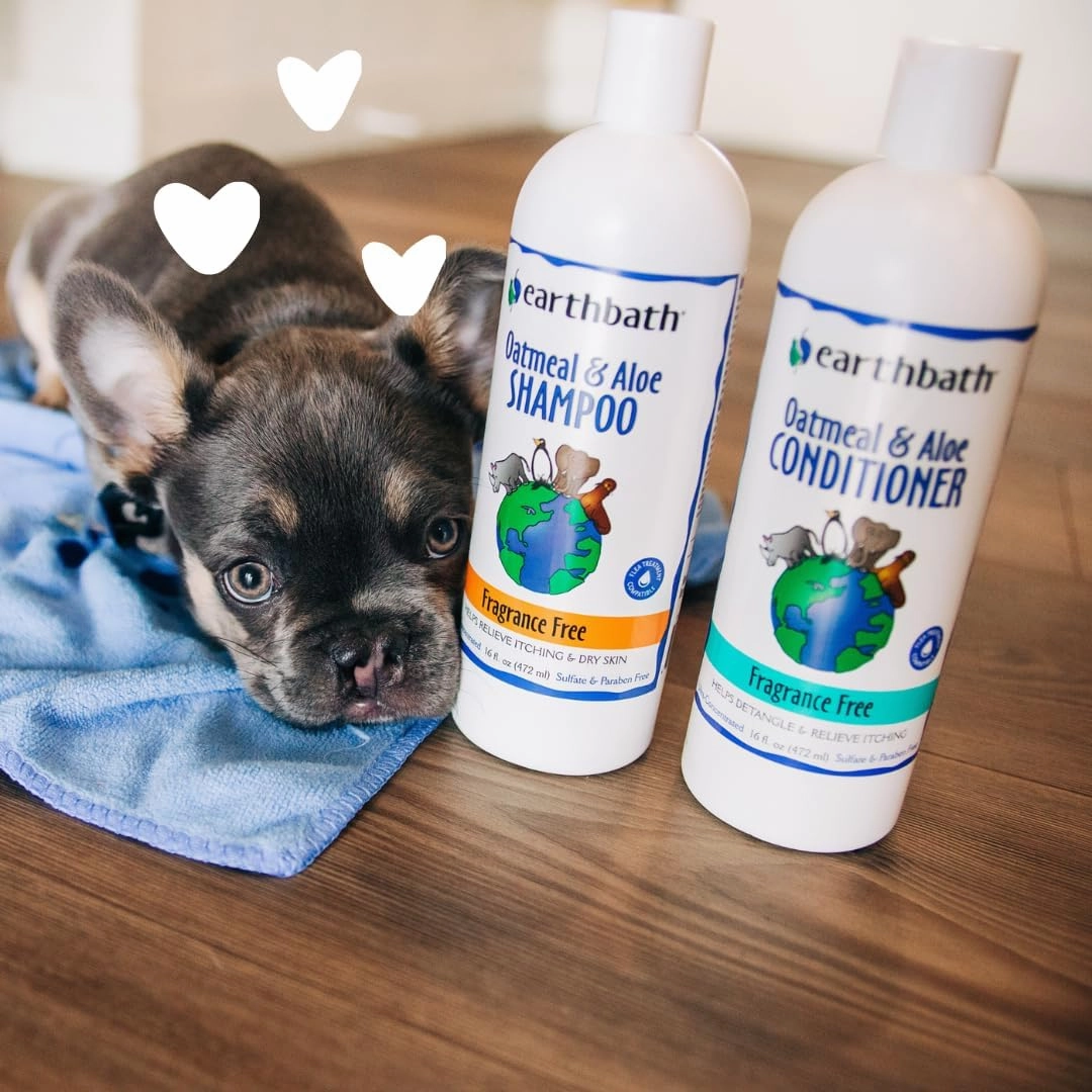 earthbath Oatmeal & Aloe Dog Conditioner- Helps Allergies, Itching, & Dry Skin, Cruelty-Free Pet Conditioners, Fragrance-Free Dog Wash- 16 oz (1 Pack)
