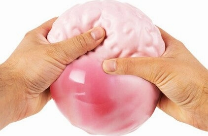 Giant Brain Ball