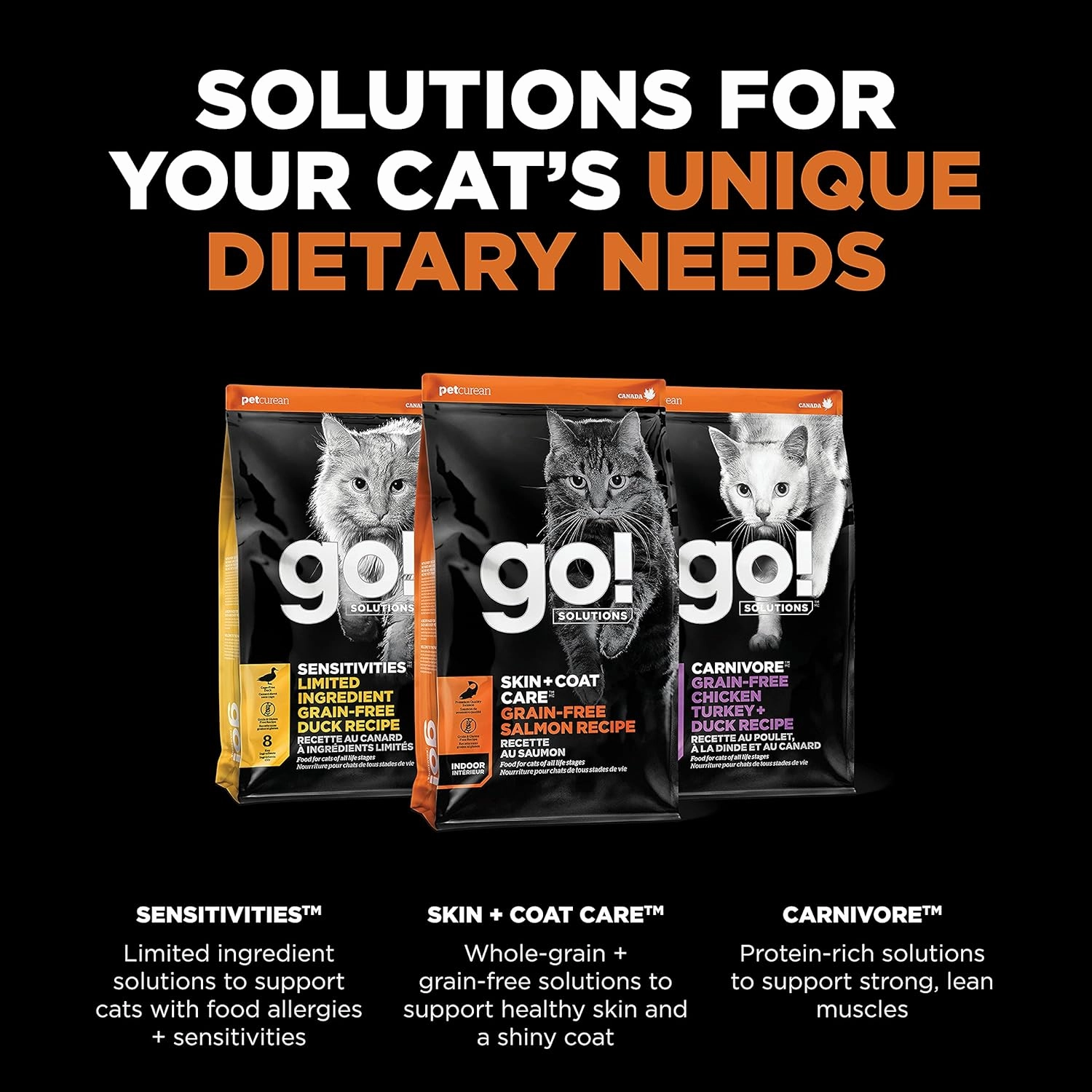 Go! Solutions Skin   Coat Care, Grain-Free Dry Cat Food, Salmon Recipe, 8 lb Bag