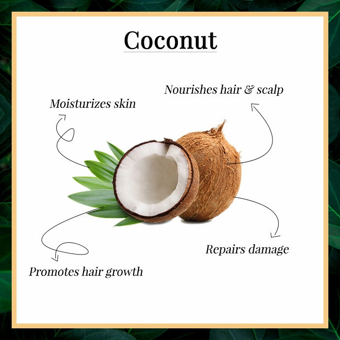 Good Vibes Coconut 100% Pure Cold Pressed Carrier Oil For Hair & Skin | Hair Growth, Anti-Ageing | No Parabens, No Animal Testing (100 ml)