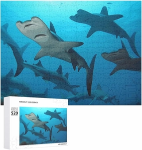 Hammerhead Sharks Puzzles 520 Pieces Personalized Jigsaw Puzzles Hammerhead Sharks Photo Puzzle Challenging Picture Puzzle for Adults Personaliz Jigsaw with Storage Bag (20.5" X 15")
