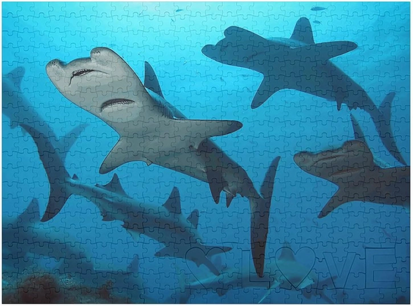 Hammerhead Sharks Puzzles 520 Pieces Personalized Jigsaw Puzzles Hammerhead Sharks Photo Puzzle Challenging Picture Puzzle for Adults Personaliz Jigsaw with Storage Bag (20.5" X 15")