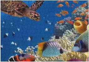 Jigsaw Puzzles Underwater World Turtle Sea Fish ColorfulDIY Brain Challenge Puzzle Educational Intellectual Decompress Fun Toy for Adults Children Gifts Boys Girls Home Decor 500 pcs