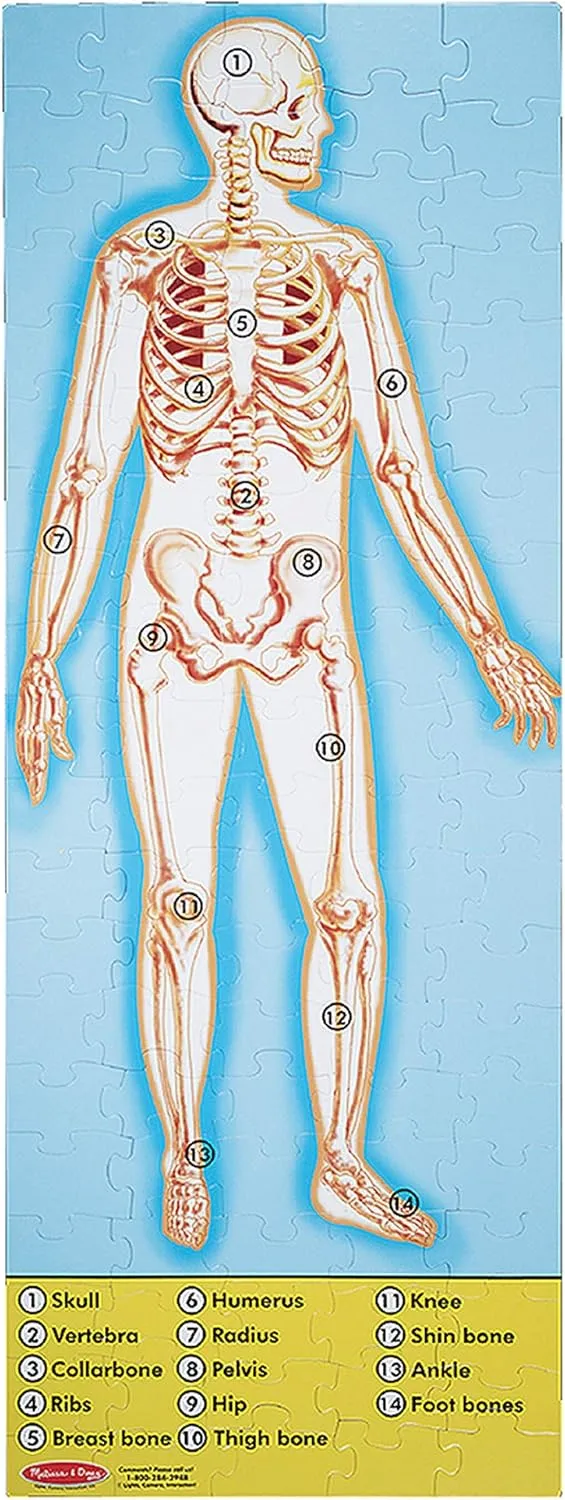 Melissa & Doug Human Anatomy 100pc Floor Puzzle