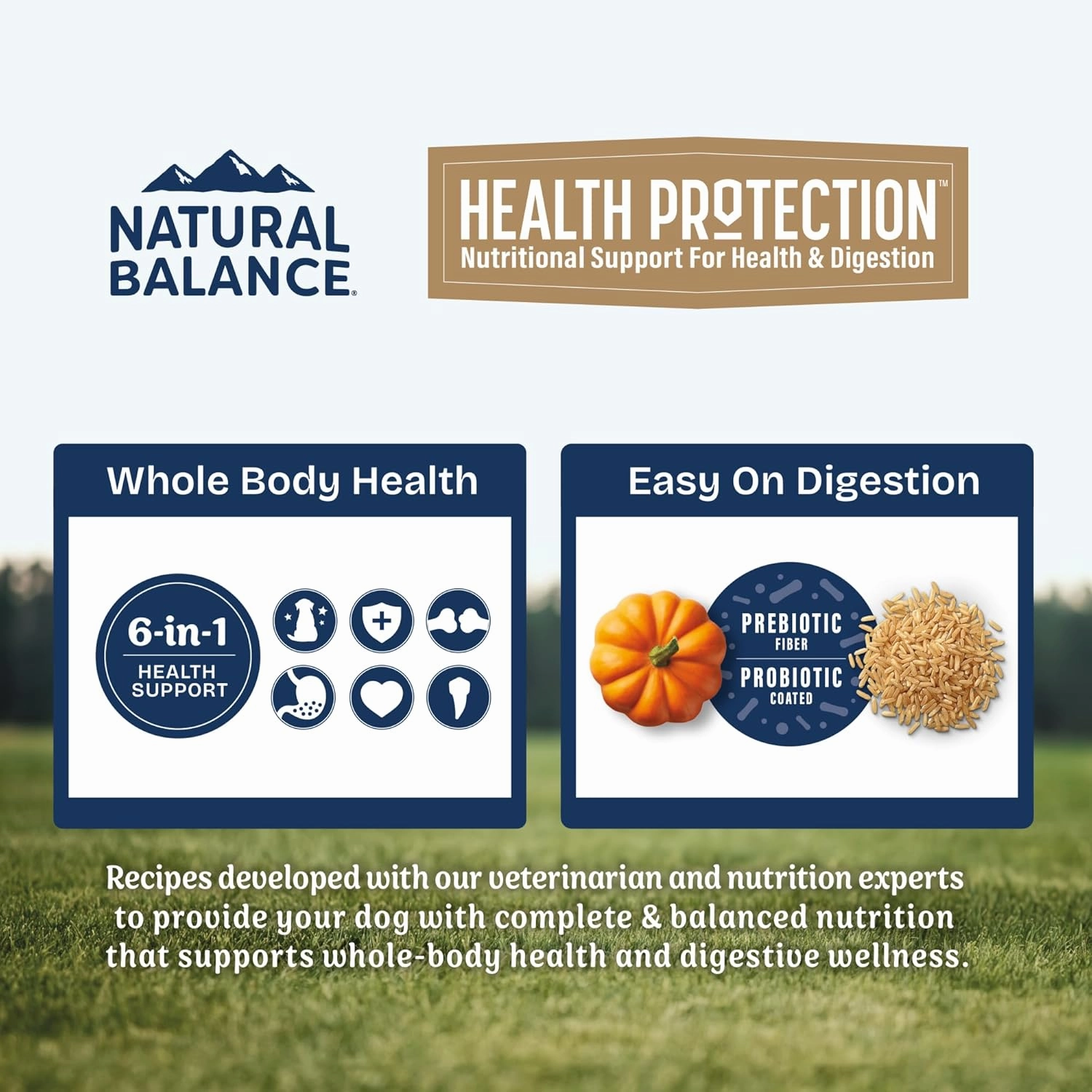 Natural Balance Health Protection Dry Dog Food – Whole Body Health, Easy on Digestion Dog Food Made with Lamb, Brown Rice & Pumpkin for Dogs - 24lbs.
