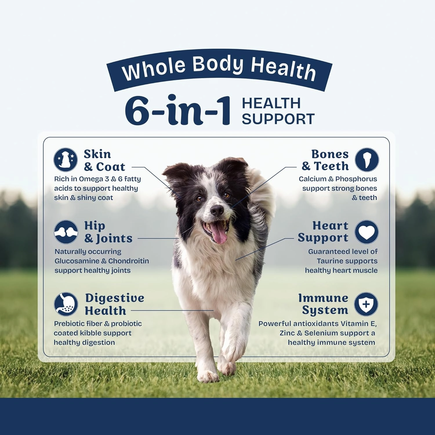 Natural Balance Health Protection Dry Dog Food – Whole Body Health, Easy on Digestion Dog Food Made with Lamb, Brown Rice & Pumpkin for Dogs - 24lbs.