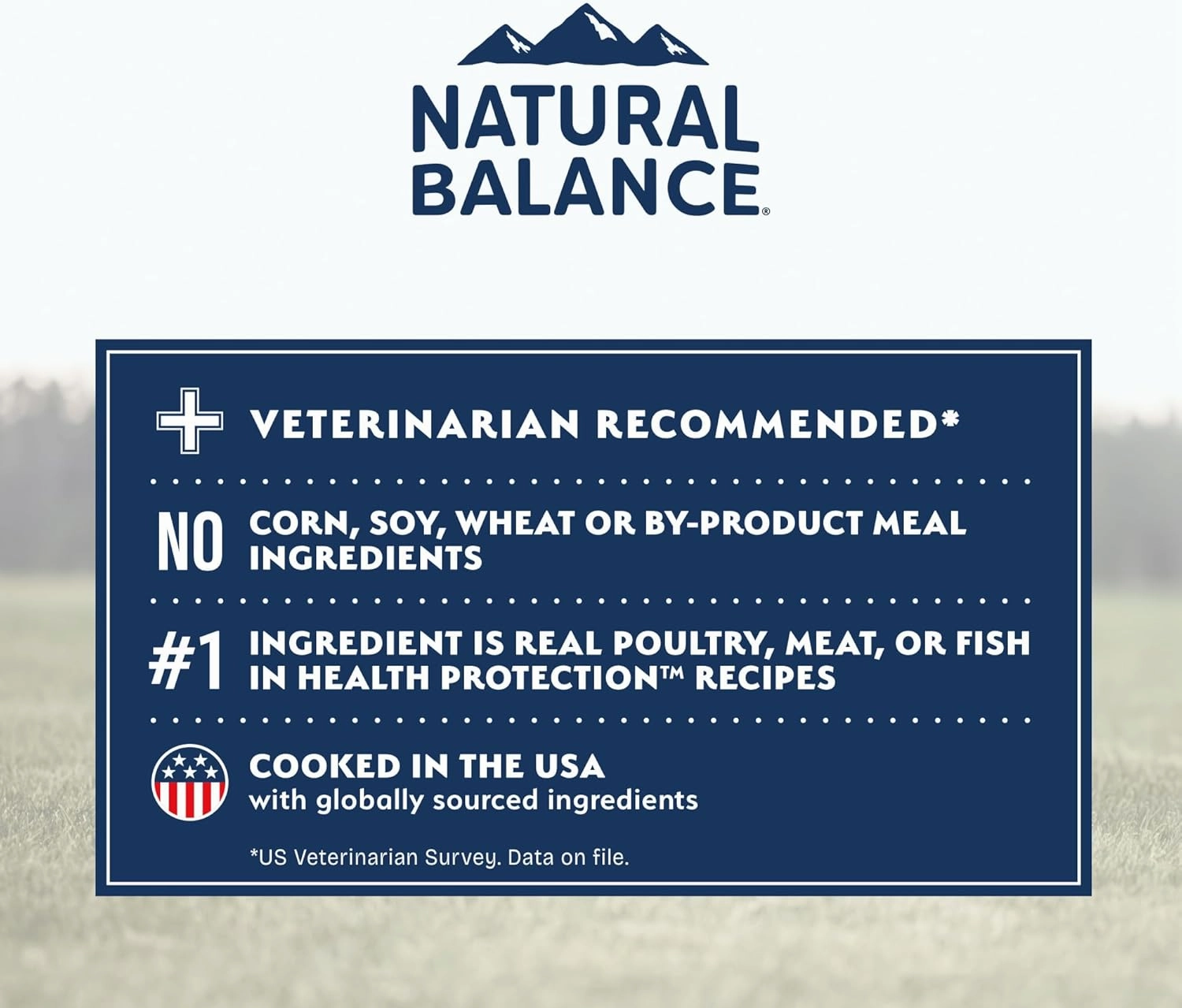 Natural Balance Health Protection Dry Dog Food – Whole Body Health, Easy on Digestion Dog Food Made with Lamb, Brown Rice & Pumpkin for Dogs - 24lbs.