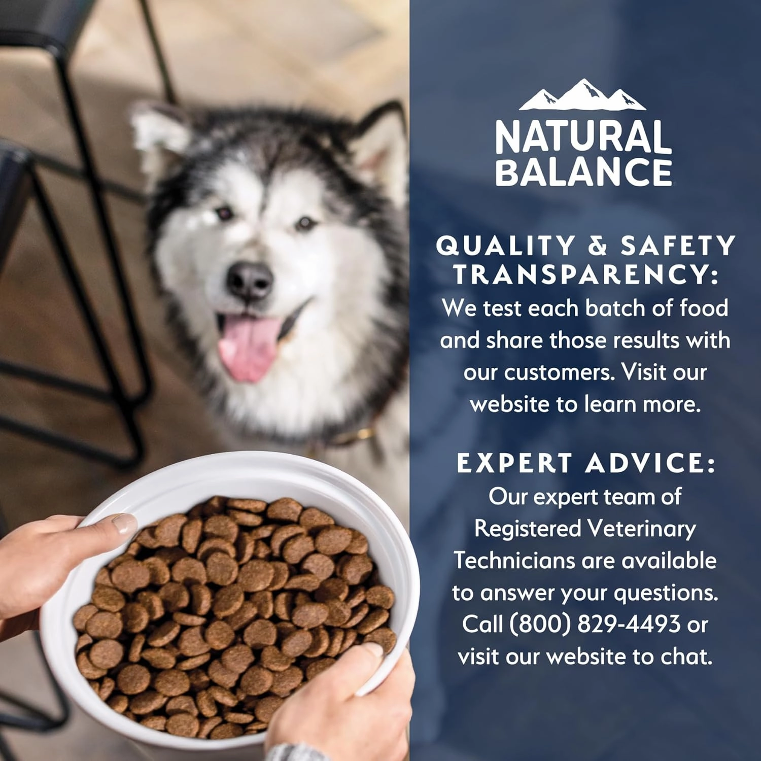 Natural Balance Health Protection Dry Dog Food – Whole Body Health, Easy on Digestion Dog Food Made with Lamb, Brown Rice & Pumpkin for Dogs - 24lbs.