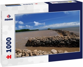 Noah Jigsaw Puzzle Ancient Classic Fish Ponds on Molokai Hawaii 1000 Pieces