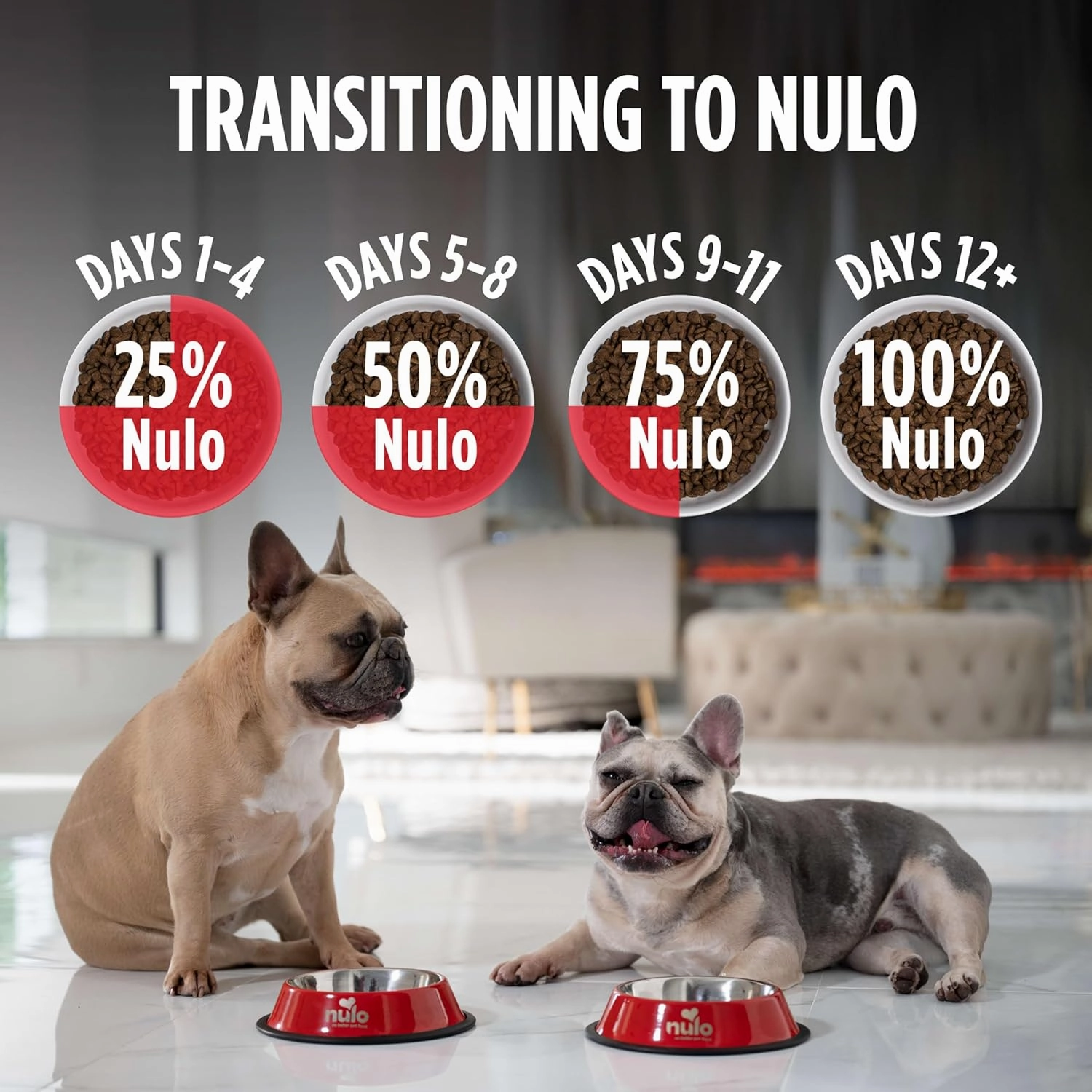 Nulo Freestyle Adult Dog Food, Premium All Natural Grain-Free Dry Small Kibble Dog Food, with BC30 Probiotic for Healthy Digestion, and High Animal-Based Protein with no Chicken or Egg Alternatives