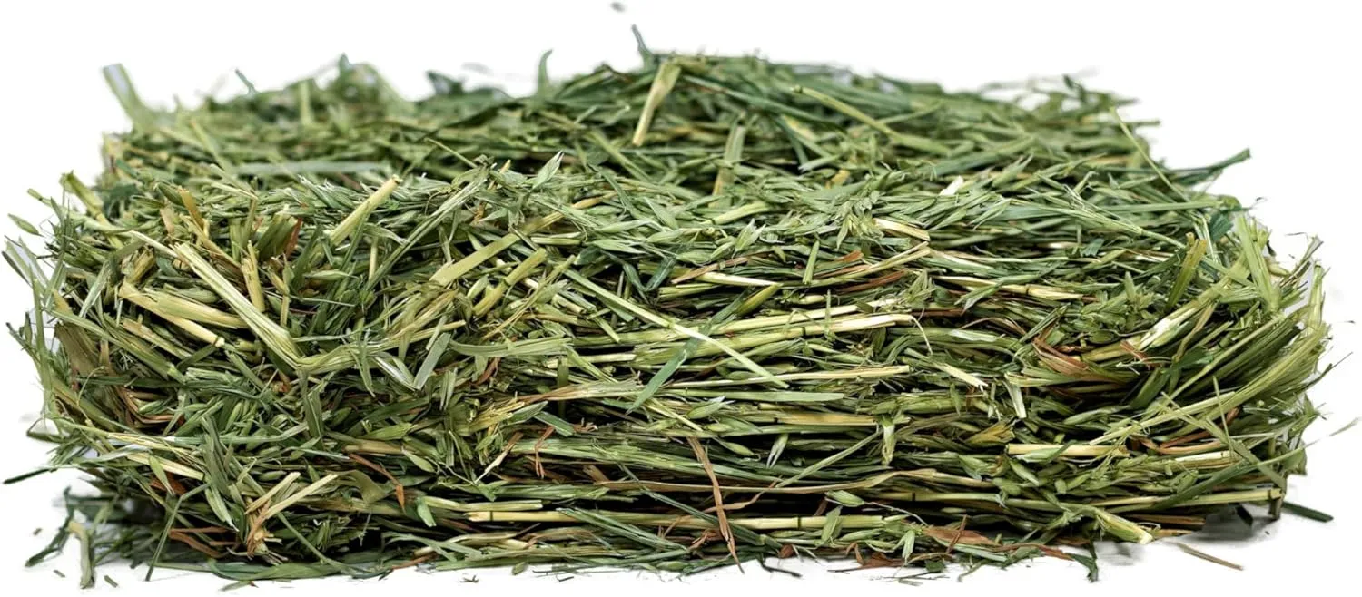Oat Hay for Rabbits & Small Pets, 3 lbs