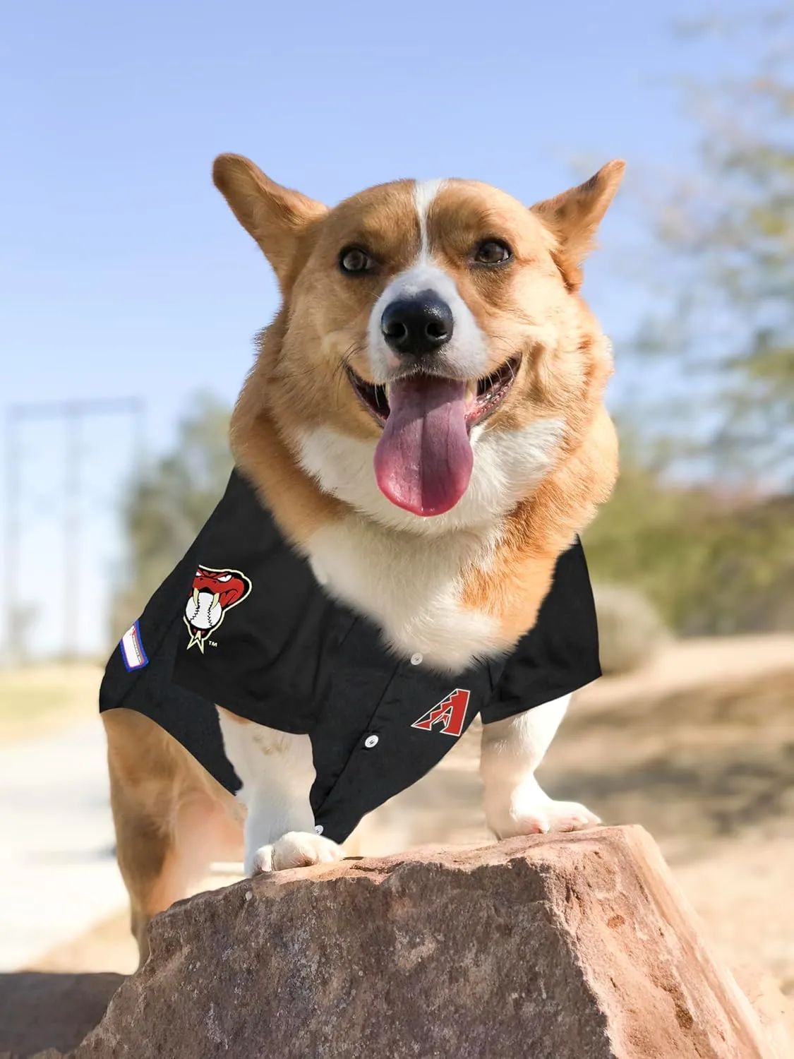 Official MLB Arizona Diamondbacks Pet Jersey for Dogs & Cats, Size XX-Large - Stylish Baseball Jersey for Your Furry Fan- Show Off Team Spirit with The Perfect Fan Apparel Gear for Pet, Dog & Cat