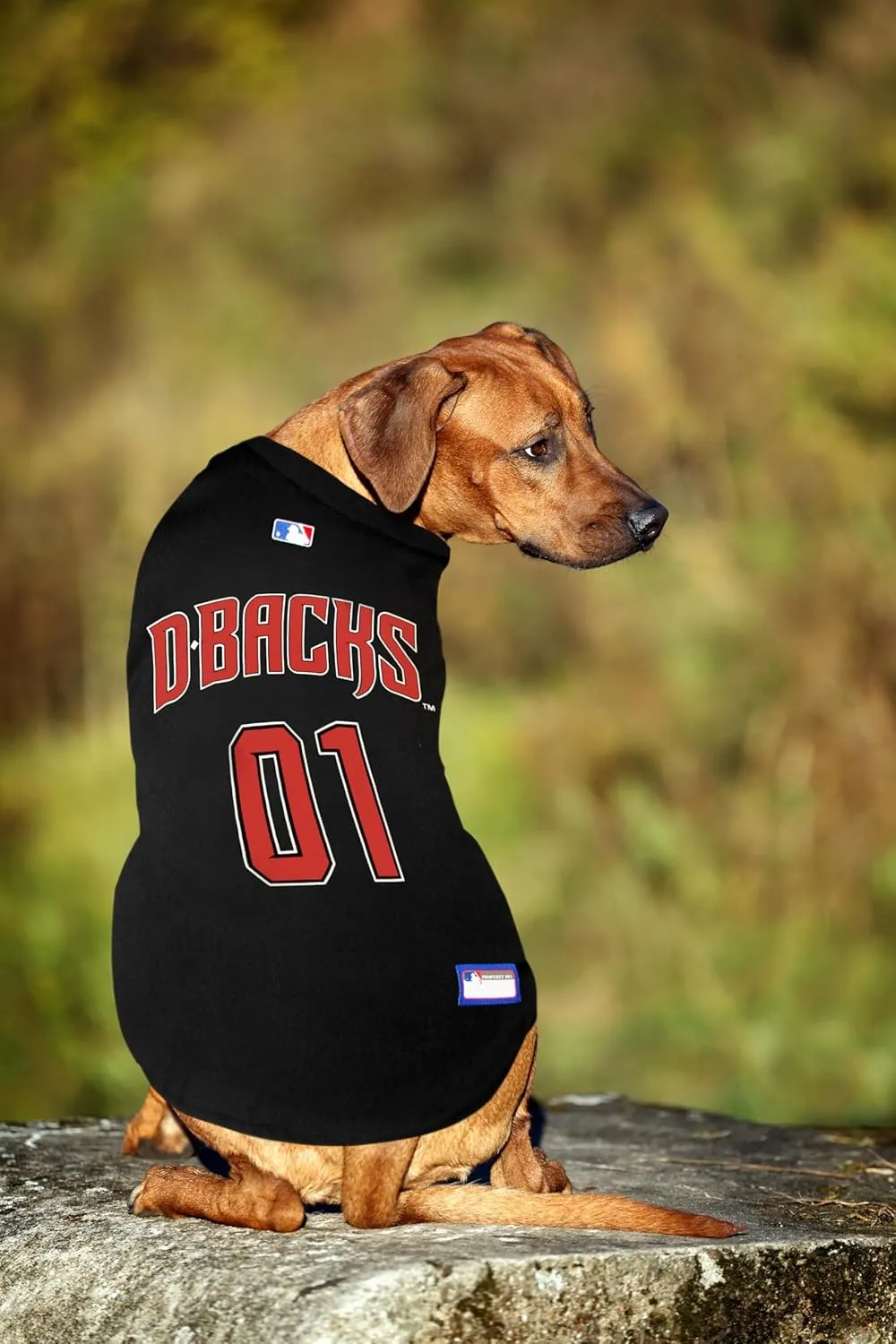 Official MLB Arizona Diamondbacks Pet Jersey for Dogs & Cats, Size XX-Large - Stylish Baseball Jersey for Your Furry Fan- Show Off Team Spirit with The Perfect Fan Apparel Gear for Pet, Dog & Cat