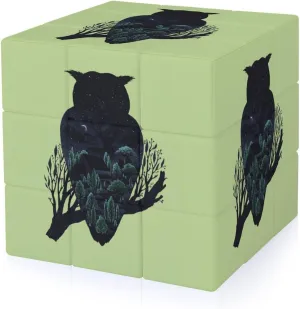 Owl Scape Funny 3x3x3 Cube Smooth Lightweight Puzzle for Adult Graphic Printing Travel