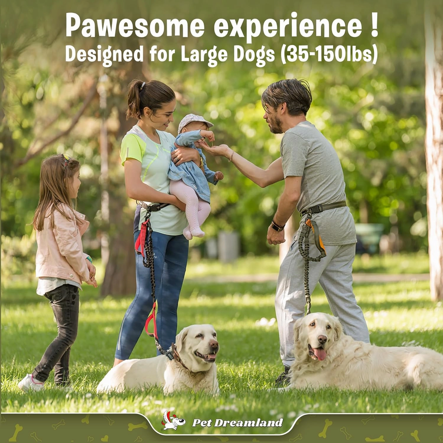Pet Dreamland Trending Hands-Free Dog Leash for Large Dogs. Ultimate Comfort & Freedom. Premium Quality & Versatile Waist Leash Belt. Your Dog Will Absolutely Love This Amazing Leash (Khaki & Orange)