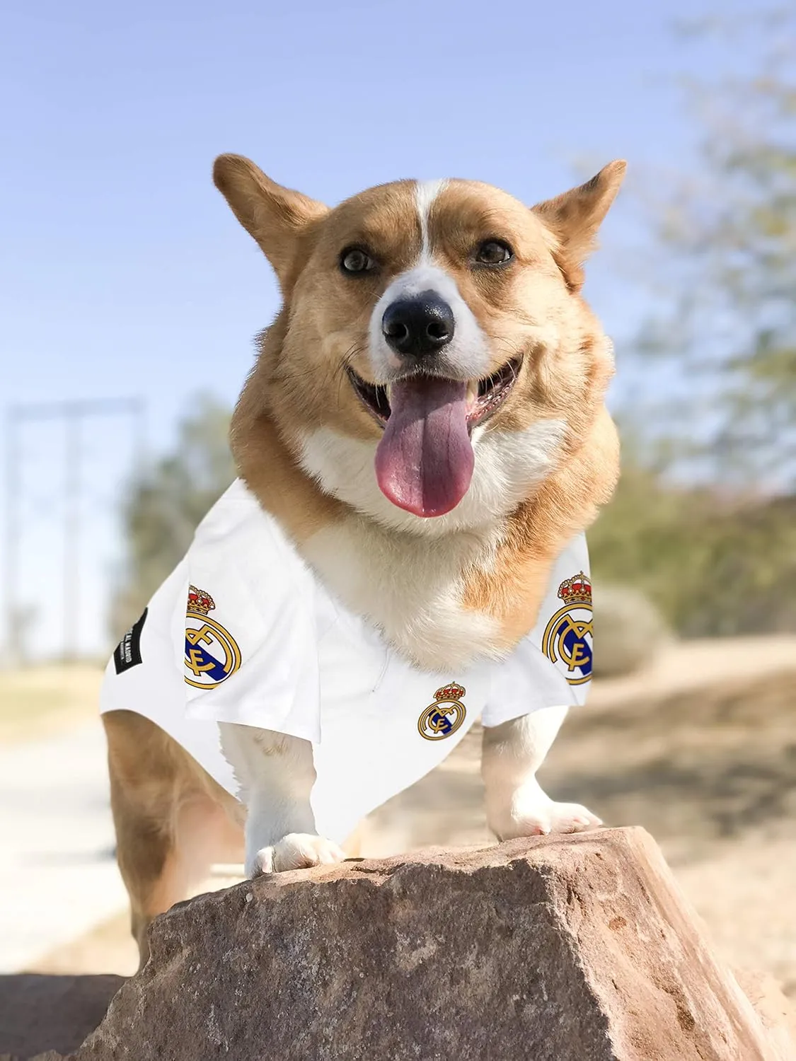Pets First Real Madrid Jersey for DOGS & CATS Football Fan Jerseys, Bright Team colors, SIZE: Large