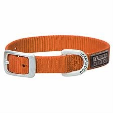 PS07-0930S-5/8"x13"-Orange Dog Collar Terrain Single Ply Nylon