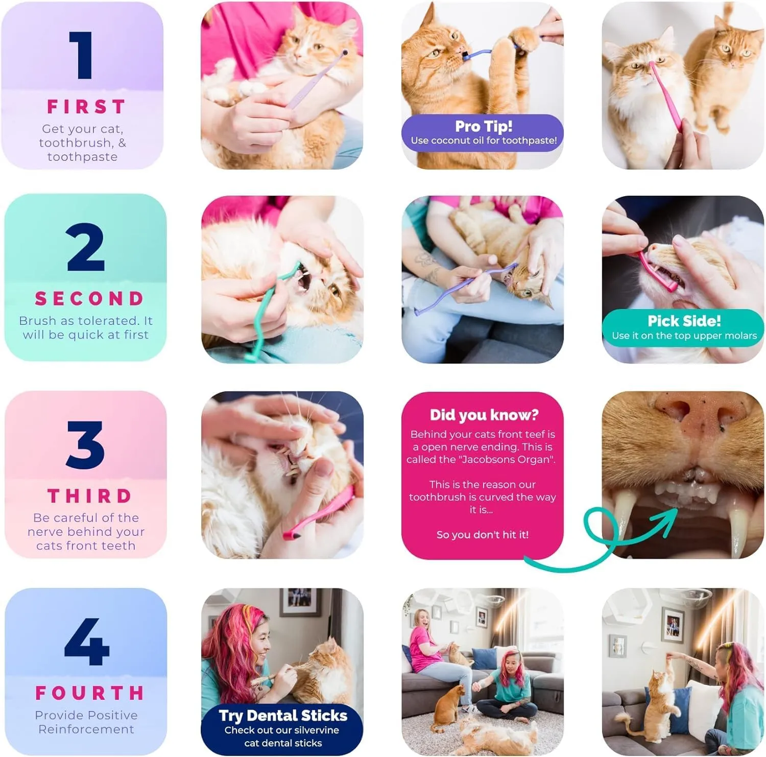 RYERCAT Dual-Sided Cat Toothbrush – Gentle Care for Your Kitten’s Smile! Micro Head for Easy Cleaning & Healthy (Shamrock)