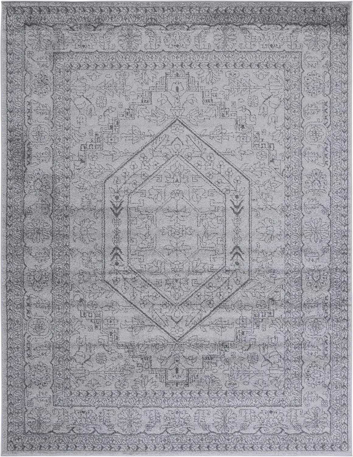 SAFAVIEH Adirondack Collection Area Rug - 9' x 12', Light Grey & Dark Grey, Oriental Medallion Design, Non-Shedding & Easy Care, Ideal for High Traffic Areas in Living Room, Bedroom (ADR108C)