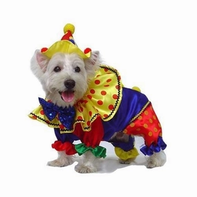 Shiny Clown Costume