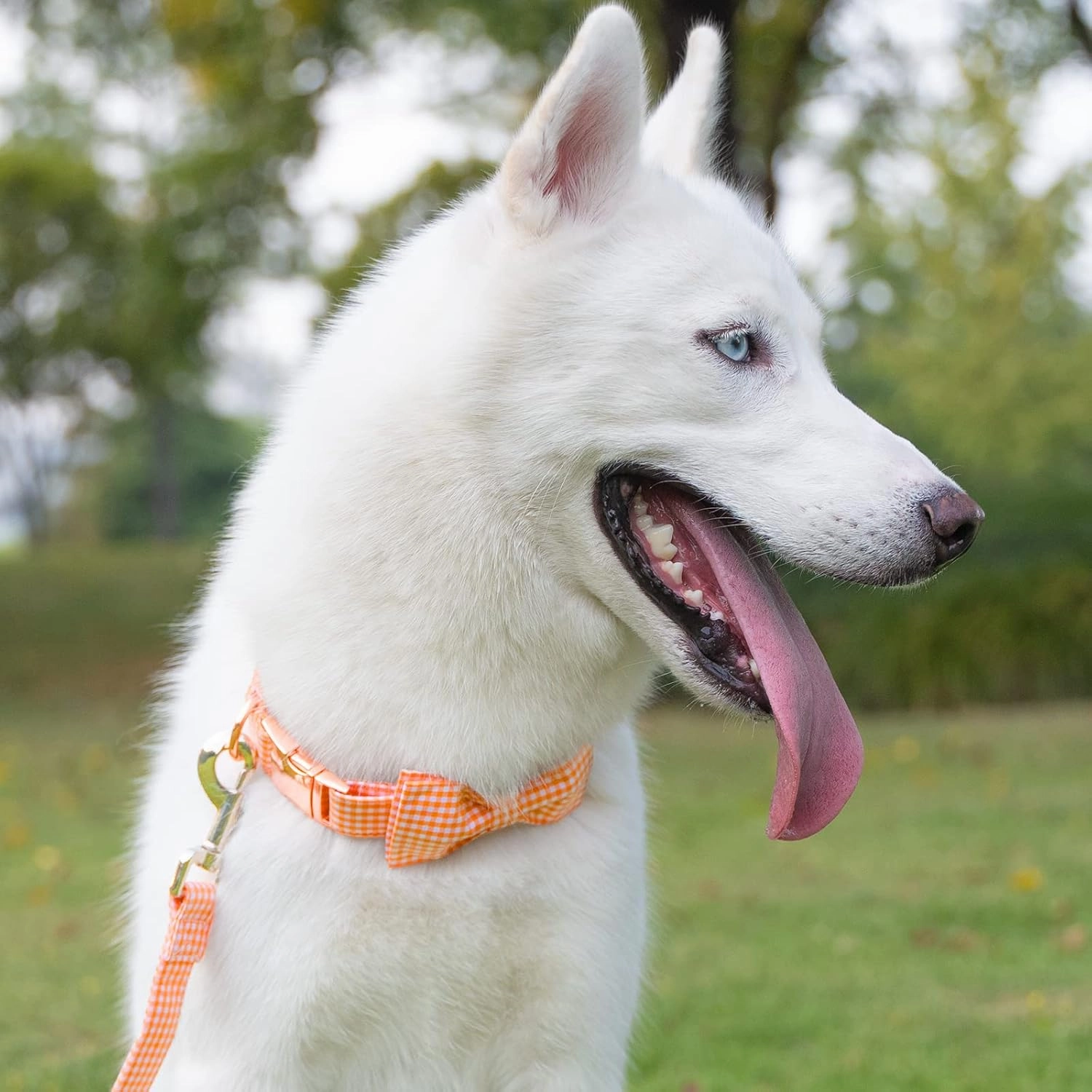 Tunkoo Dog Leash Plaid with Soft Comfy Cotton Handle，Girl Pet for Small Medium Large Dogs Cats Daily Walking（Orange Grid，L）