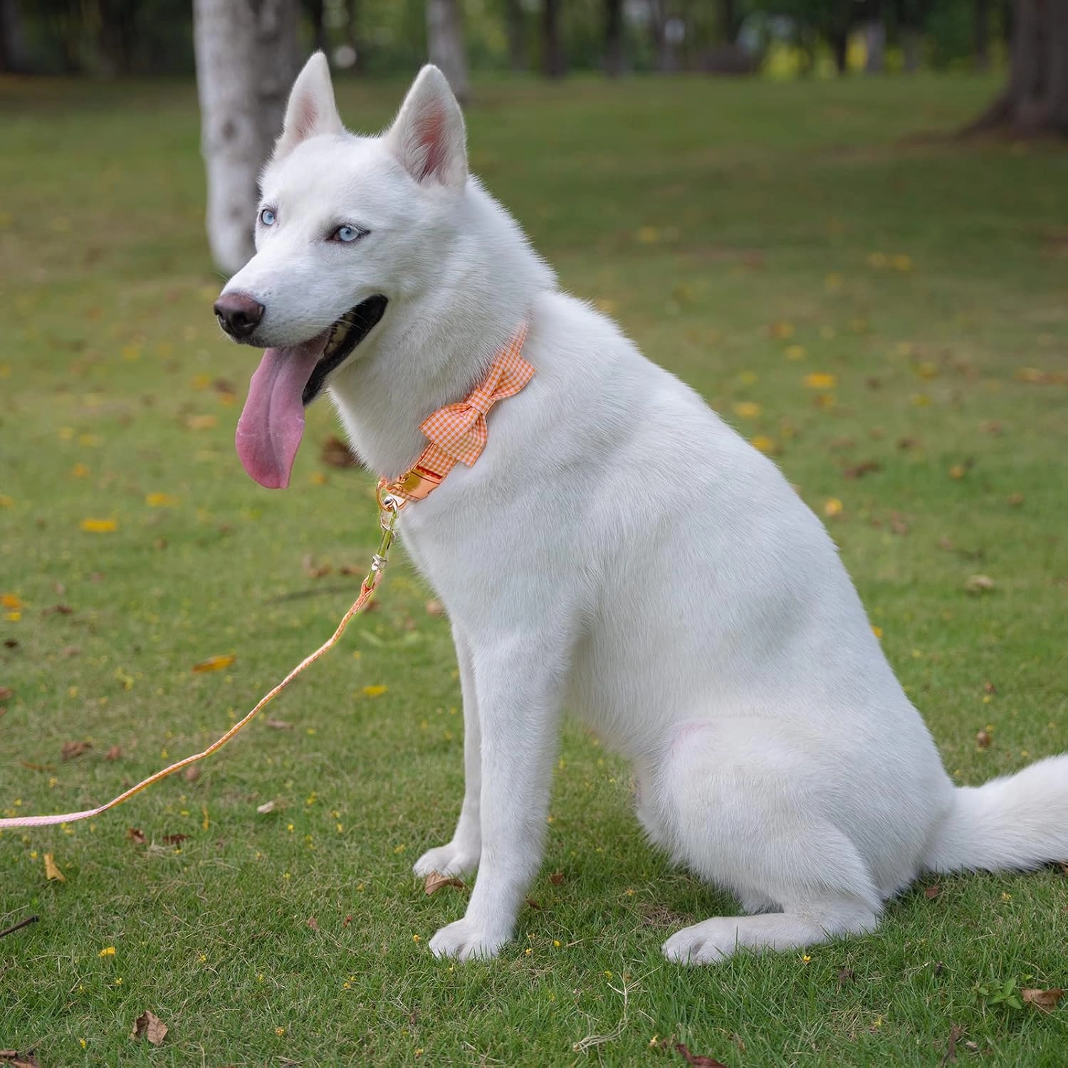 Tunkoo Dog Leash Plaid with Soft Comfy Cotton Handle，Girl Pet for Small Medium Large Dogs Cats Daily Walking（Orange Grid，L）