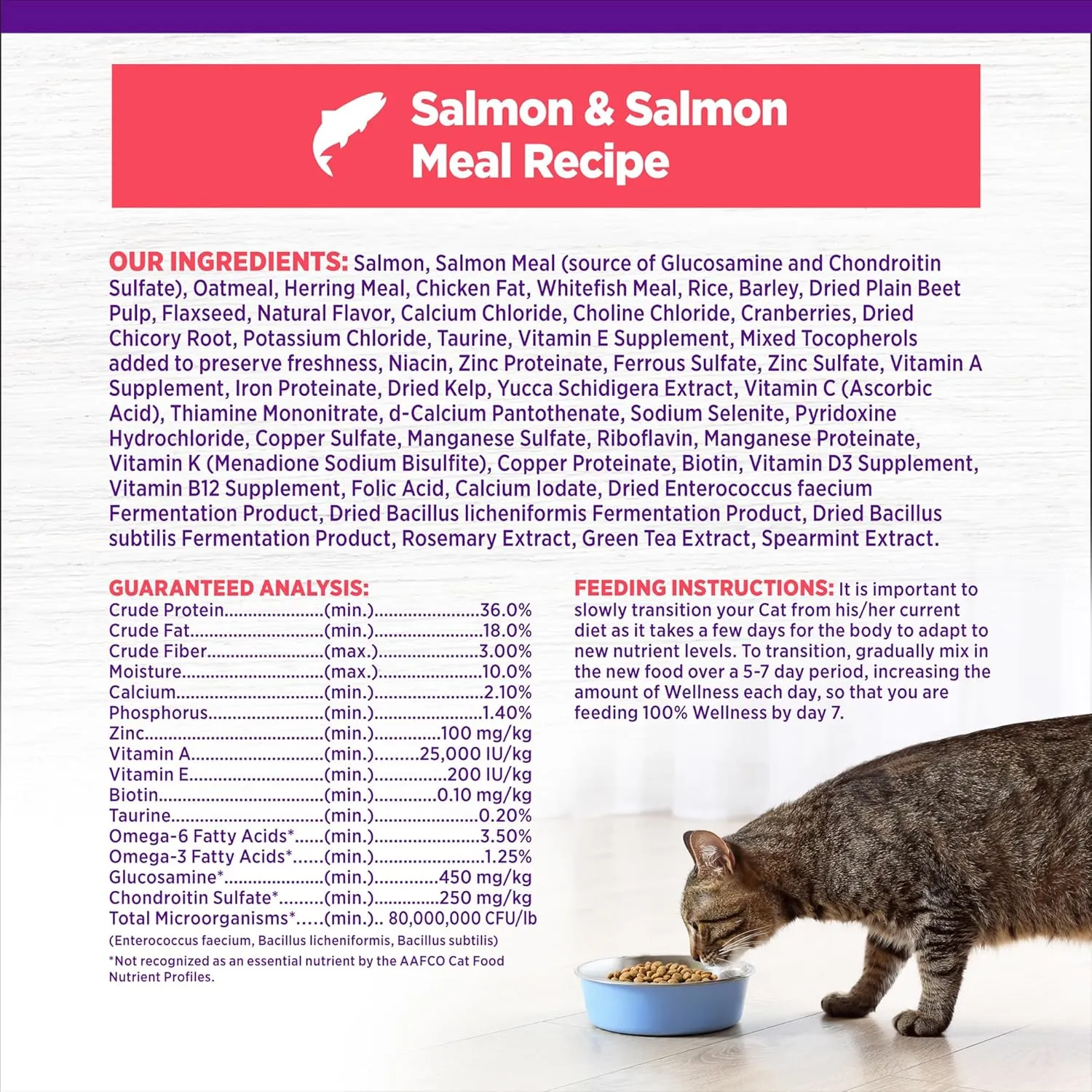 Wellness Complete Health Adult Dry Cat Food for Indoor and Outdoor Cats, Wholesome Grains, Natural, Salmon & Salmon Meal (5 Pound Bag)