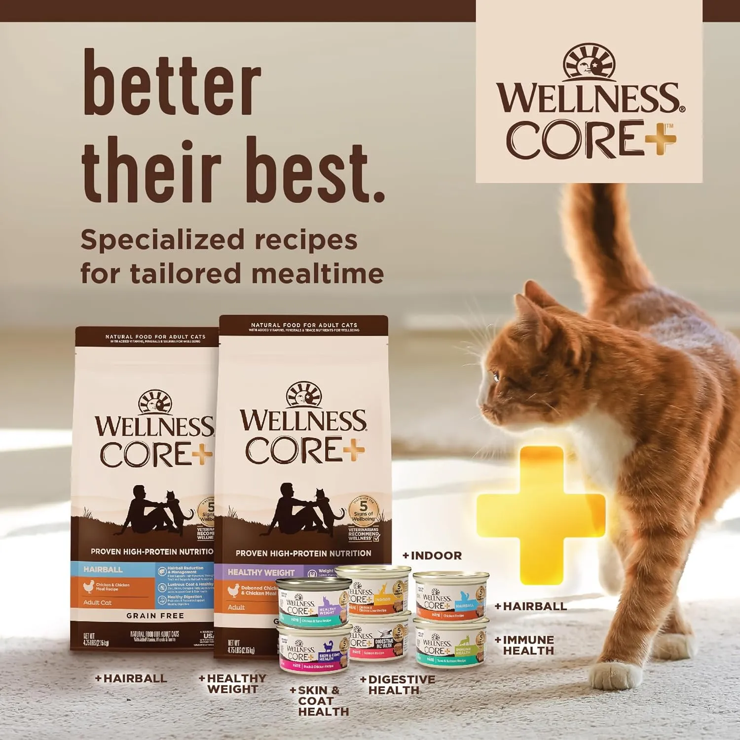 Wellness CORE  Digestive Health Pate Adult Wet Cat Food, Natural, Protein-Rich, Grain Free, 3 Ounce, 12 Pack (Chicken)