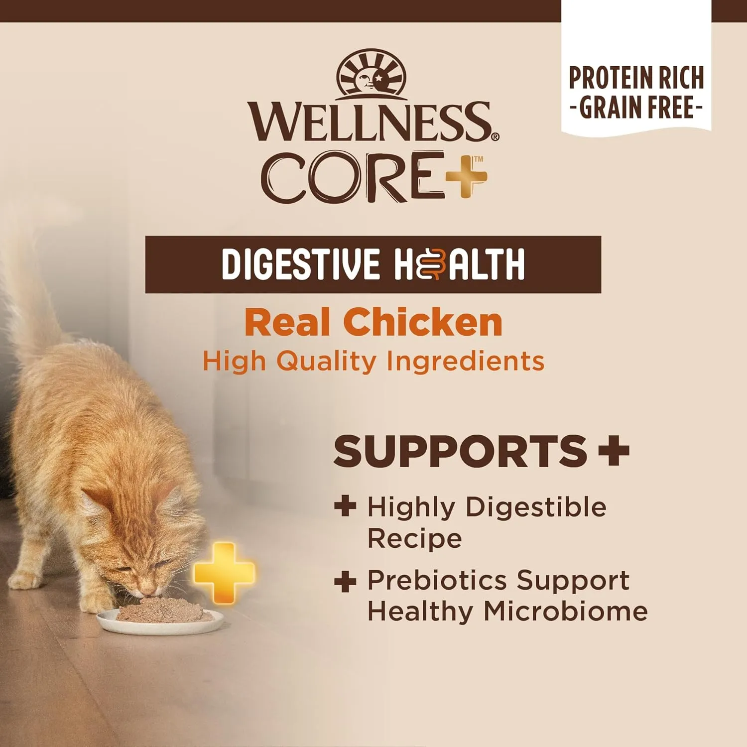 Wellness CORE  Digestive Health Pate Adult Wet Cat Food, Natural, Protein-Rich, Grain Free, 3 Ounce, 12 Pack (Chicken)