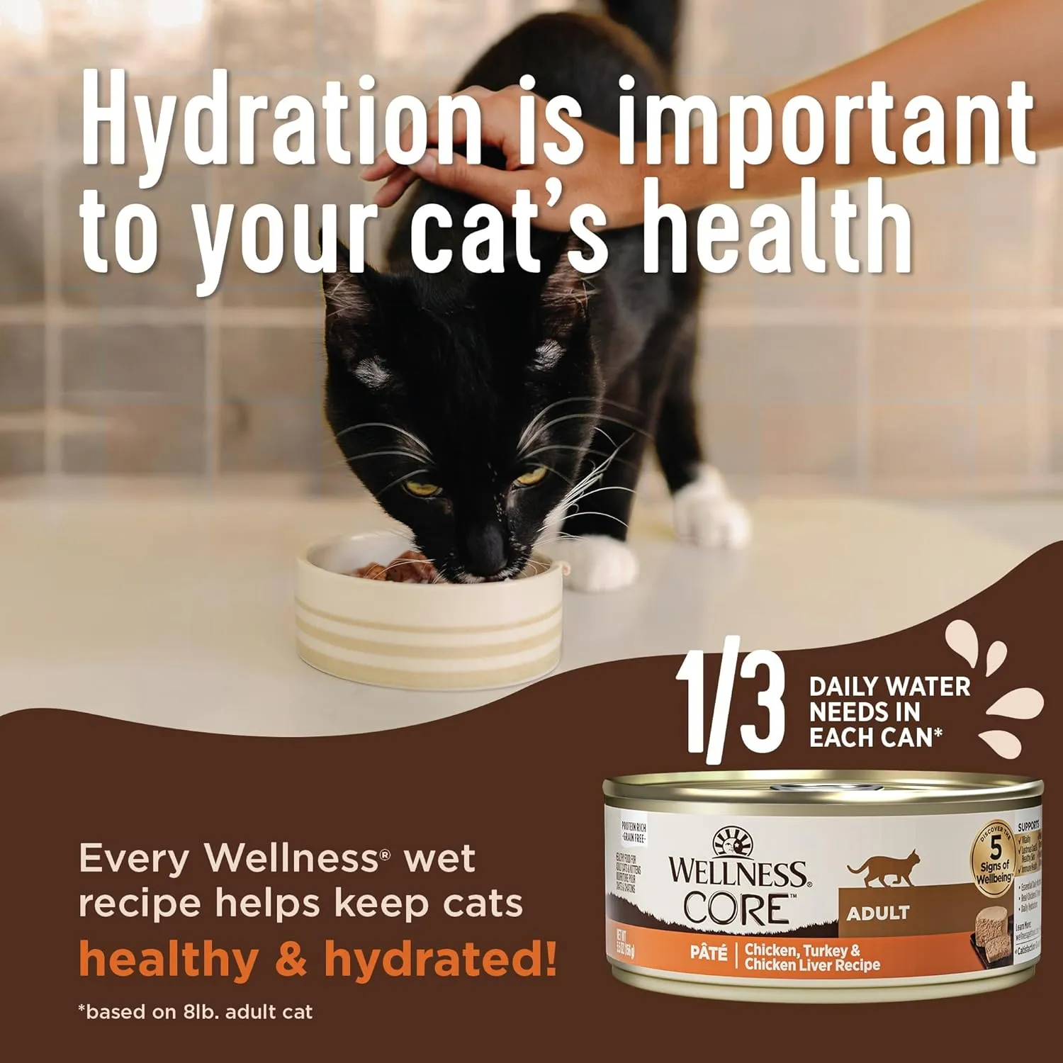 Wellness CORE  Skin & Coat Pate Adult Wet Cat Food, Natural, Protein-Rich, Grain Free, 2.8 Ounce, 12 Pack (Salmon & Sardine)