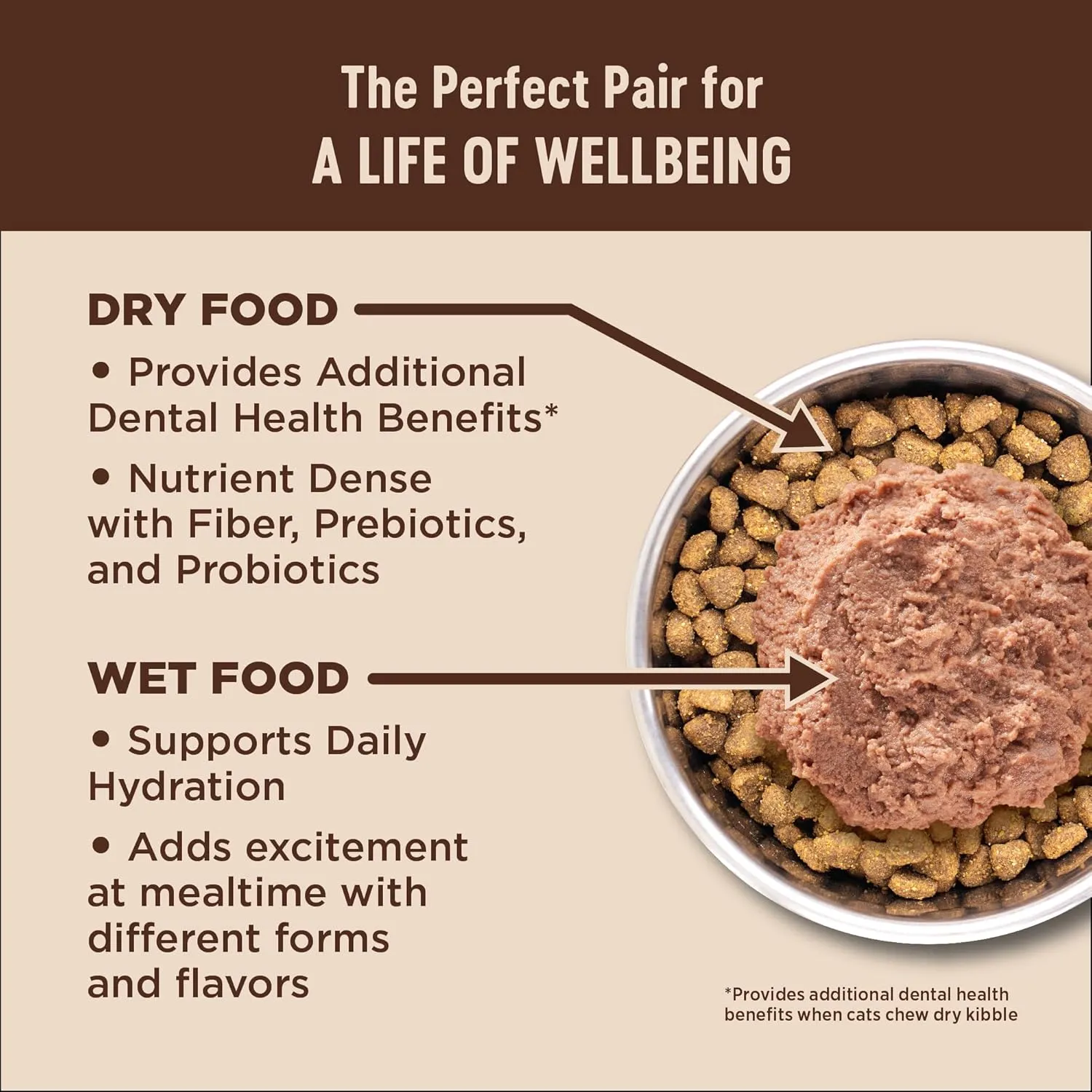 Wellness CORE  Skin & Coat Pate Adult Wet Cat Food, Natural, Protein-Rich, Grain Free, 2.8 Ounce, 12 Pack (Salmon & Sardine)