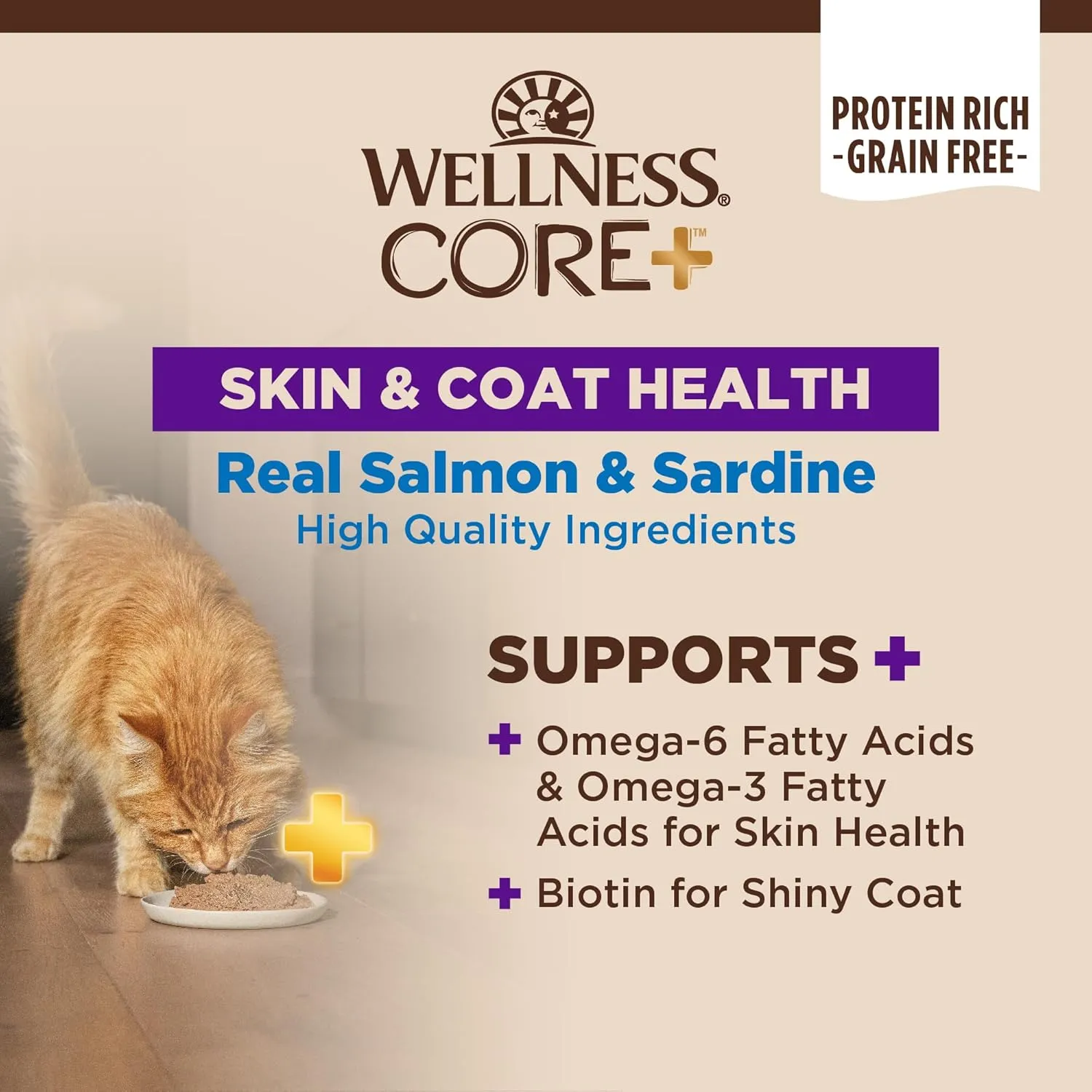 Wellness CORE  Skin & Coat Pate Adult Wet Cat Food, Natural, Protein-Rich, Grain Free, 2.8 Ounce, 12 Pack (Salmon & Sardine)