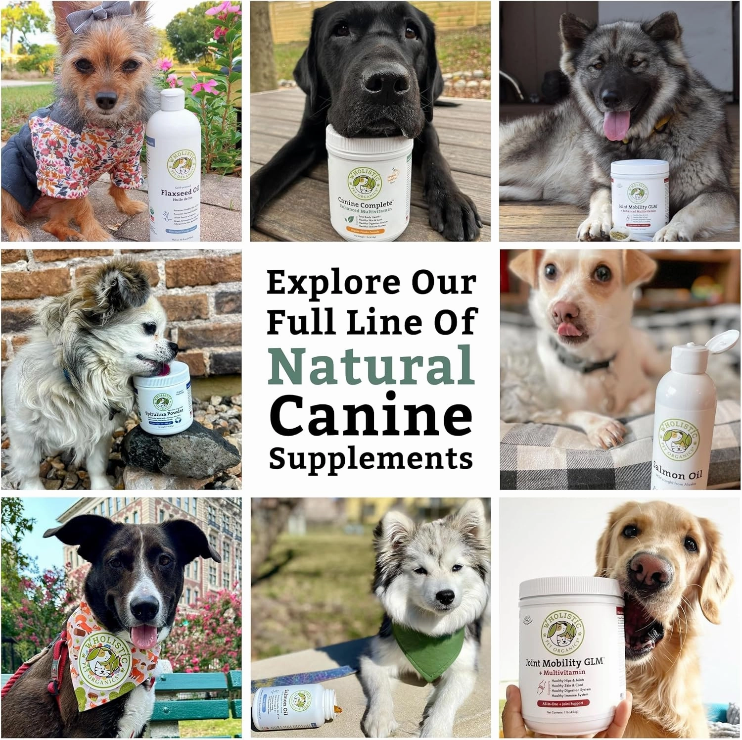 Wholistic Canine Complete with Organic Pumpkin for Dogs - 2 Lb - Dog Vitamins and Supplements with Pumpkin Powder for Digestion, Skin & Coat Health - Multivitamin for Dogs with Probiotics & Fiber